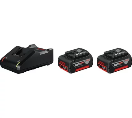 BOSCH GBA 18V 4,0 Ач Li-Ion х 2шт + GAL 18V-40 1600A019S0